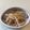 クック7GK0CS☆'s cooksnap of when they made すりごまがポイントのもやしのナムル♪.