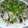 mikekke's cooksnap of when they made ともんちっち家のかつおのたたき.