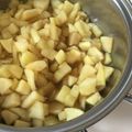 ⭐︎みゃぐみん⭐︎'s cooksnap of when they made 簡単♡林檎の一口コンポート(煮りんご).