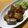 daikanon's cooksnap of when they made 鮪の照り焼き.