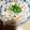 空遥☆ましゃlove's cooksnap of when they made 焼きキノコと鮭のとろろあんかけ煮.