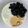 輝夜の姫's cooksnap of when they made 黒豆きな粉ヨーグルト♪.