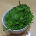 ラリー＆サラ's cooksnap of when they made 大葉の保存.