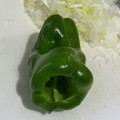 お茶づ's cooksnap of when they made 指で押すだけ～☆ピーマンの種の取り方.