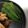 葉月優希's cooksnap of when they made ５分でできるおつまみ。オクラのカレー焼き.