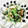 あっこ姉's cooksnap of when they made ゴーヤとわかめのマヨあえ.