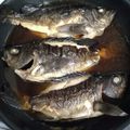 名月。's cooksnap of when they made 煮魚の王様で絶品！メバルの煮付け.