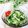 Satoco❋'s cooksnap of when they made ✿きゅうりと大葉の胡麻ナムル✿.