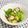 ゆづキッチン's cooksnap of when they made タコと野菜のバジルソース.
