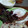 ひっこ's cooksnap of when they made ヨーグルトにはちみつ(^_-)-☆.