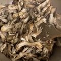ぐにゅまる's cooksnap of when they made ピリ辛きのこ♡ごま油炒め煮［応用有り］.