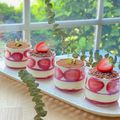 Hijikimom's cooksnap of when they made いちごティラミスムース.