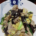 ななっちななちゃん's cooksnap of when they made 豚肉ときくらげの卵炒め.
