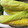 クックDIMSG0☆'s cooksnap of when they made 簡単！とうもろこしの美味しい茹で方.