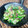 料理男子部's cooksnap of when they made きゅうり、おくら、みょうが、しそのあえ物.