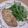 きらり流れ星's cooksnap of when they made この焼き方・調味料が1番☆生姜焼き.