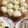バンビーノ☆'s cooksnap of when they made 食べてみたい！焼き小龍包.