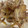 splendeur's cooksnap of when they made みょうがと豚こま爽やか炒め.