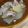 クックIT9OT1☆'s cooksnap of when they made 豚肉と大根の和風煮込み.