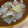クックIT9OT1☆'s cooksnap of when they made 豚肉と大根の和風煮込み.