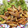 DORA＊DORA's cooksnap of when they made 三種のきのことソーセージのさっぱり炒め.