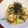 pigumo's cooksnap of when they made 簡単！メイン級★水菜のチョレギサラダ.