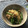 栗丸うさぎ's cooksnap of when they made いんげんとしらたきの炒め煮.
