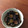 パステルブルー's cooksnap of when they made フライパンで簡単 茄子の焼き浸し.