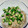 ♪ゆかたん♡'s cooksnap of when they made とろねば簡単☆梅そうめん.