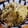 低カロ探検隊's cooksnap of when they made 厚揚げときのこの南蛮煮.