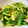 ゆめみるぽよぽよ's cooksnap of when they made 小松菜のバターしょうゆ炒め.