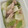 tamago大好き's cooksnap of when they made かぶと豚肉の煮物.