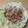 もりのりころ's cooksnap of when they made 超簡単冷しゃぶ.