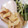 ちーゆづアーちゃん☆'s cooksnap of when they made ♪簡単に水菜と豆腐と揚げの煮.