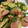 じゅんともた's cooksnap of when they made エビ、イカ、野菜の炒めもの.