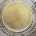 どら工場。's cooksnap of when they made 自家製酵母液種：れもん酵母.