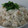 睡眠欲食欲性欲's cooksnap of when they made 梅としらすの炊き込みご飯　夏めし.