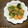 peanut32m's cooksnap of when they made エビと小松菜のオイスターソース炒め.