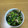 ゆーちゃんご飯's cooksnap of when they made 小松菜と舞茸の炒め物♪オイスターソース.