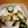クックNVJDVI☆'s cooksnap of when they made カブときゅうりの塩昆布漬け.