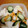 クックNVJDVI☆'s cooksnap of when they made カブときゅうりの塩昆布漬け.