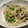 QPはにー's cooksnap of when they made もやしとピーマンの塩昆布和え.