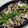 マダムカフェ♡'s cooksnap of when they made きのこたっぷり♪メカジキのホイル焼き.