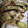 AiYuKE's cooksnap of when they made 納豆と焼き芋の卵焼き丼.