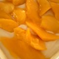 ikko★'s cooksnap of when they made Hawaiian＊マンゴー・ハウピア.