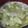 ヨシヨッシー's cooksnap of when they made しじみの味噌汁.