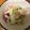 めぐりミルク's cooksnap of when they made 常備菜にも♡たことセロリのマリネ^_^.