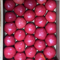 ミセスオリーブ's cooksnap of when they made トマトの冷凍保存.