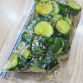 パンダ達の母です。's cooksnap of when they made 山田さんのピリ辛きゅうり.