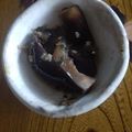 のぶなお７'s cooksnap of when they made 簡単＆絶品！茄子中華タレのおひたし♪.
